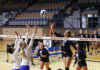 Wallace State Volleyball, Cross Country move up in polls