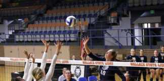 Wallace State Volleyball, Cross Country move up in polls