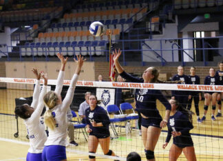 Wallace State Volleyball, Cross Country move up in polls