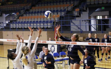 Wallace State Volleyball, Cross Country move up in polls
