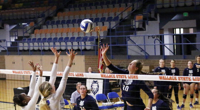 Wallace State Volleyball, Cross Country move up in polls