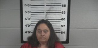 Danville woman facing multiple charges after car chase Vivian Draper