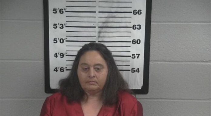 Danville woman facing multiple charges after car chase Vivian Draper