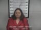 Danville woman facing multiple charges after car chase Vivian Draper