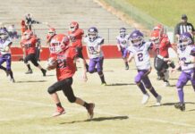 6 teams advance to Cullman County Youth Football Championship Games
