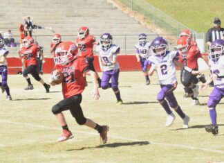 6 teams advance to Cullman County Youth Football Championship Games