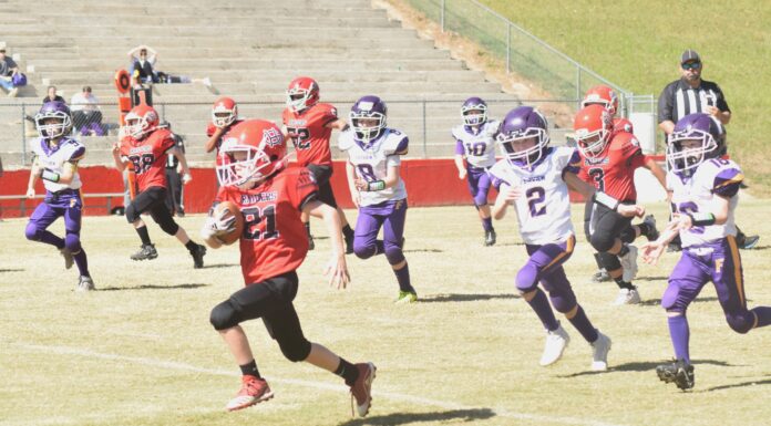 6 teams advance to Cullman County Youth Football Championship Games