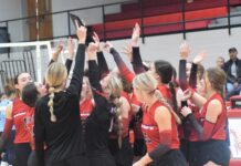 PREP VOLLEYBALL: Good Hope sweeps Oneonta to claim area championship