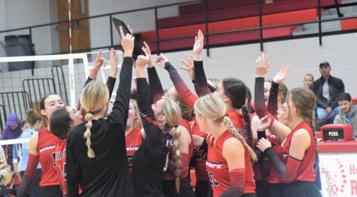 PREP VOLLEYBALL: Good Hope sweeps Oneonta to claim area championship