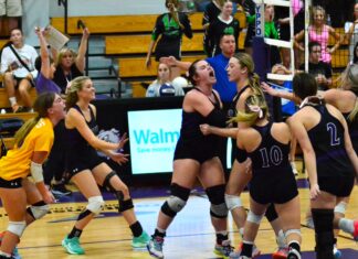 COUNTY VOLLEYBALL TOURNAMENT: Lady Aggies edge Holly Pond 3-2; West Point, Fairview advance to JV Finals