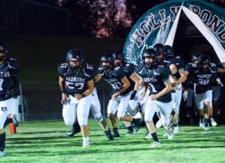 PREP FOOTBALL: Holly Pond hammers Gaston on homecoming 50-14