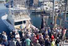 Orange Beach boat lands potential record blue marlin