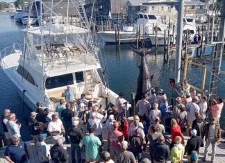 Orange Beach boat lands potential record blue marlin