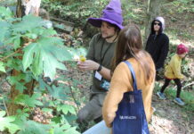 133 fungal collections made at AMS 2nd annual Mushroom Faire