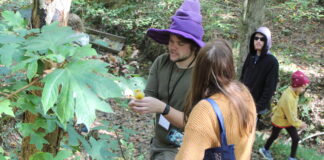 133 fungal collections made at AMS 2nd annual Mushroom Faire