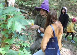 133 fungal collections made at AMS 2nd annual Mushroom Faire