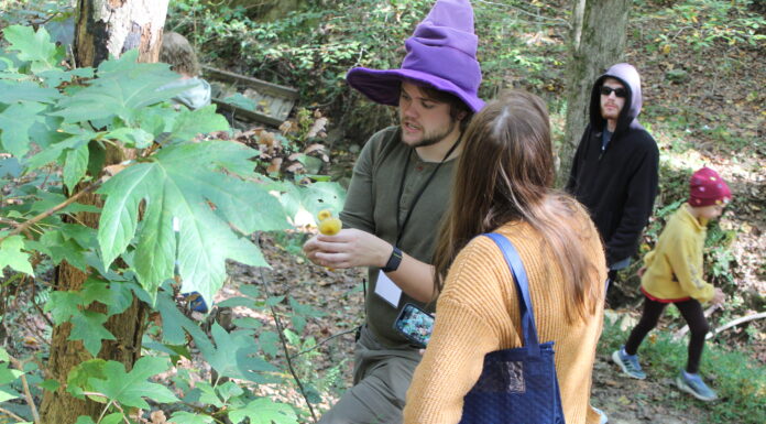 133 fungal collections made at AMS 2nd annual Mushroom Faire