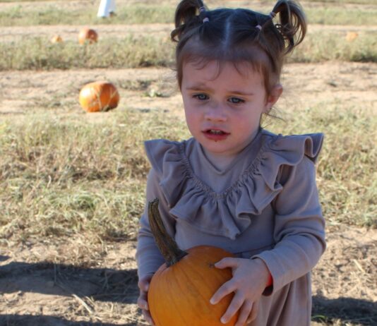 Op-Ed: A parent’s practical guide to the pumpkin patch