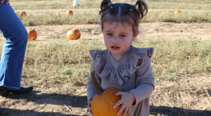Op-Ed: A parent’s practical guide to the pumpkin patch