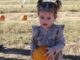 Op-Ed: A parent’s practical guide to the pumpkin patch