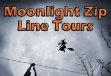 Zip through the moonlight