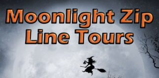 Zip through the moonlight