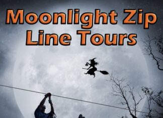 Zip through the moonlight