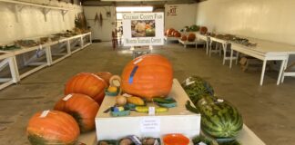 James and the giant…pumpkin?