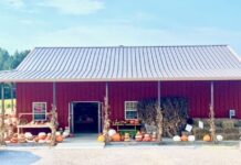 J. Calvert Farms: Sunflower central