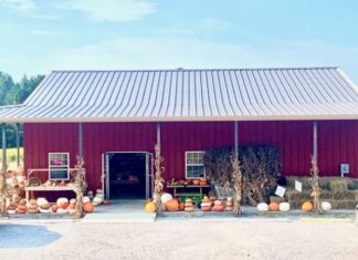 J. Calvert Farms: Sunflower central