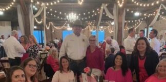 Little Pink Dress benefit raises $25K