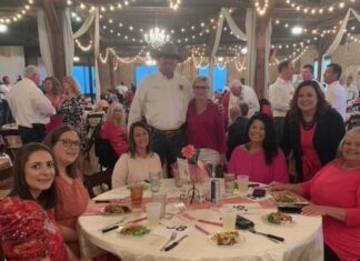 Little Pink Dress benefit raises $25K