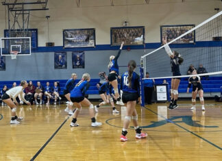 PREP VOLLEYBALL: Addison sweeps St. Bernard on senior night