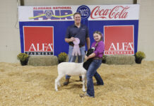 Cullman County’s Ryleigh Jordan places in Alabama National Fair Youth Sheep Show
