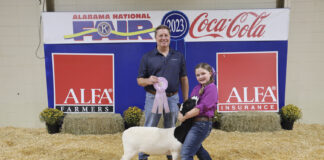 Cullman County’s Ryleigh Jordan places in Alabama National Fair Youth Sheep Show