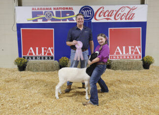 Cullman County’s Ryleigh Jordan places in Alabama National Fair Youth Sheep Show