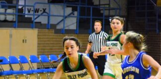 PREP BASKETBALL: Holly Pond handles Addison 69-18 at Wallace State Thanksgiving Classic