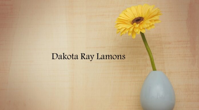 Obituary: Dakota Ray Lamons
