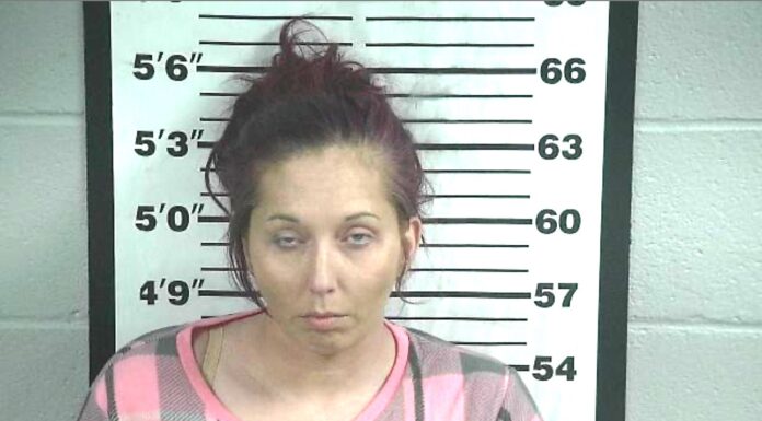 Cullman woman 3rd person charged with capital murder in death of Noah Waters