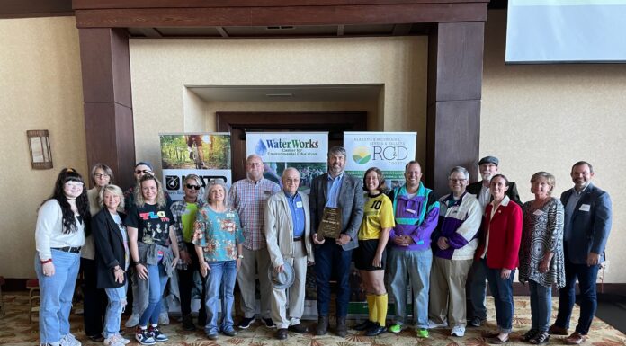 Gudger receives statewide leadership award