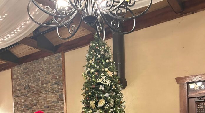 Cullman Association of Realtors kicks off annual toy drive