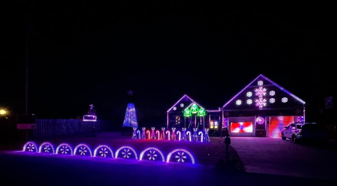 Light up the holidays