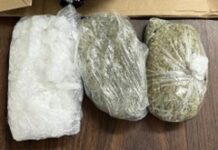 ADOC arrests 2 of its own