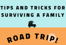 Surviving road trips with children this holiday season