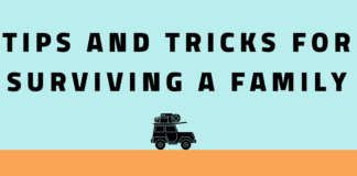 Surviving road trips with children this holiday season