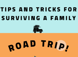 Surviving road trips with children this holiday season