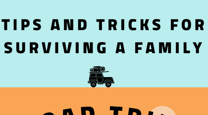 Surviving road trips with children this holiday season
