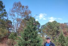 2023 Festival of Trees begins Dec. 3