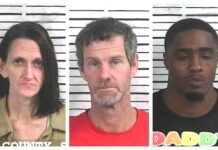 CCSO arrest roundup