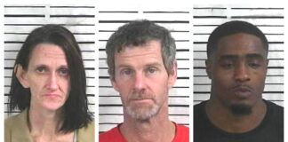 CCSO arrest roundup